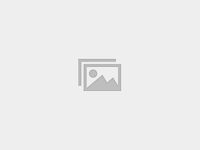 Roquyah Beginner Level Diploma