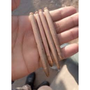 arag el sawahil2